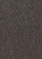 Preview: Vorwerk® Fascination#1 Alba Braun 8L47 Teppichboden Raumbild