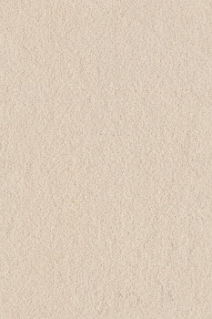 Preview: Infloor Girloon Home Coco Vision Sand 820 Teppichboden