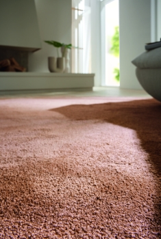 Preview: Kiss Braun 3766 466 Teppichboden Raumbild