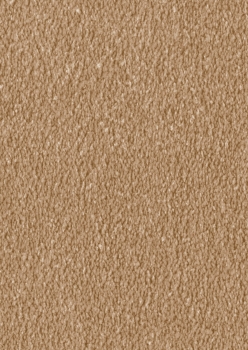 Preview: Vorwerk Fascination1 Alba Terracotta Orange 1Q10 Teppichboden