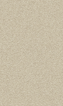 Preview: Vorwerk® Fascination#1 Lyrica Beige 6C69 Teppichboden