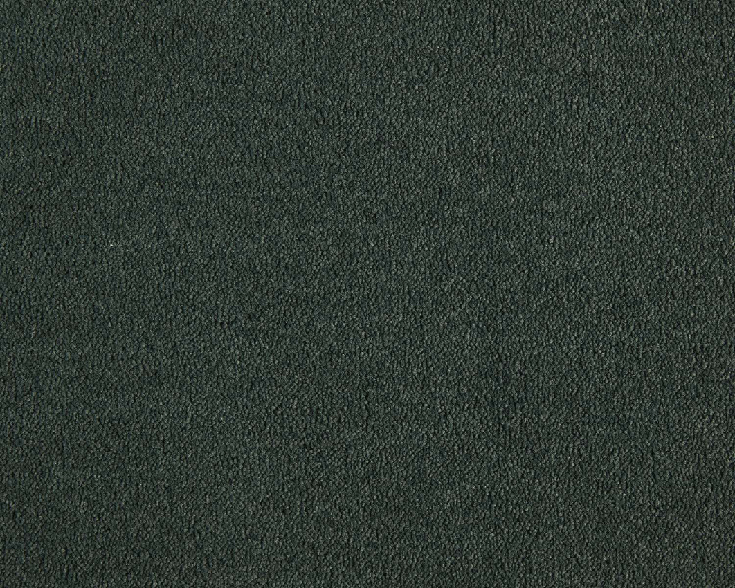 691 - fichte
