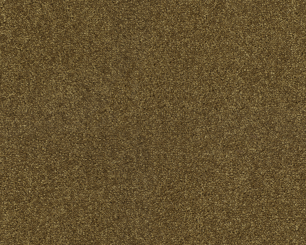384 - bronze