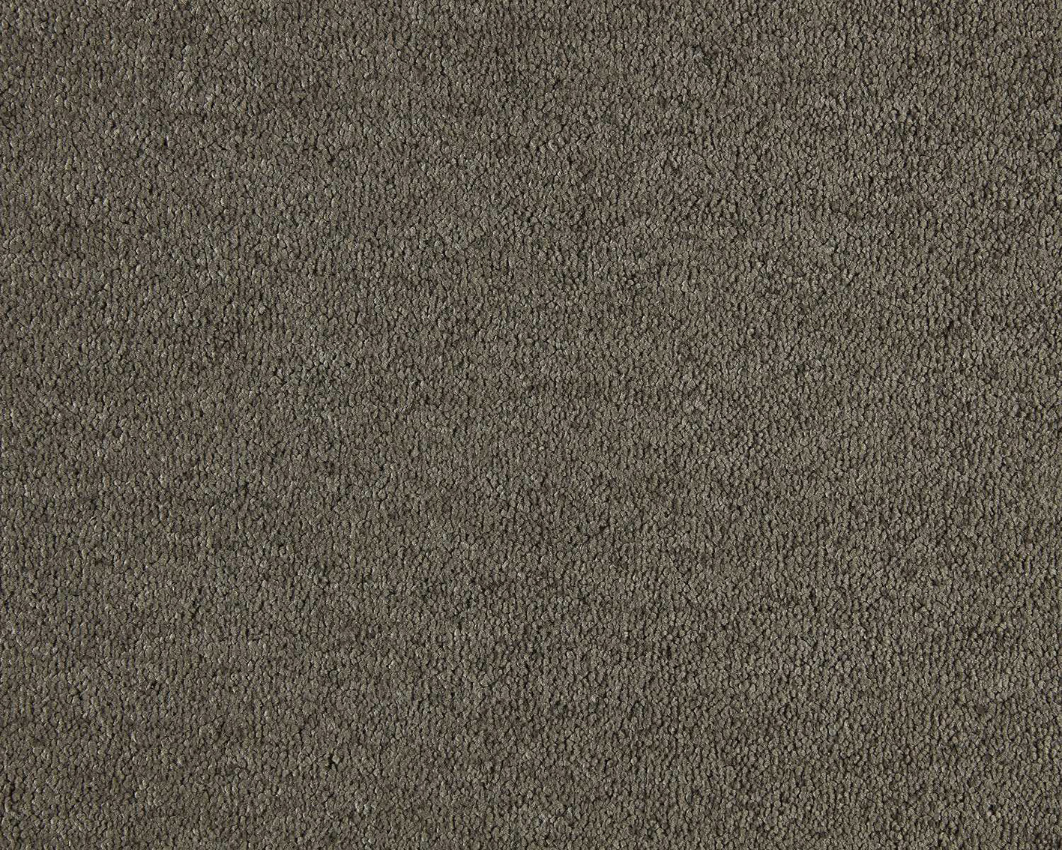 470 - chestnut