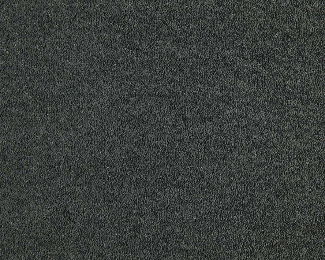 830 - elephant