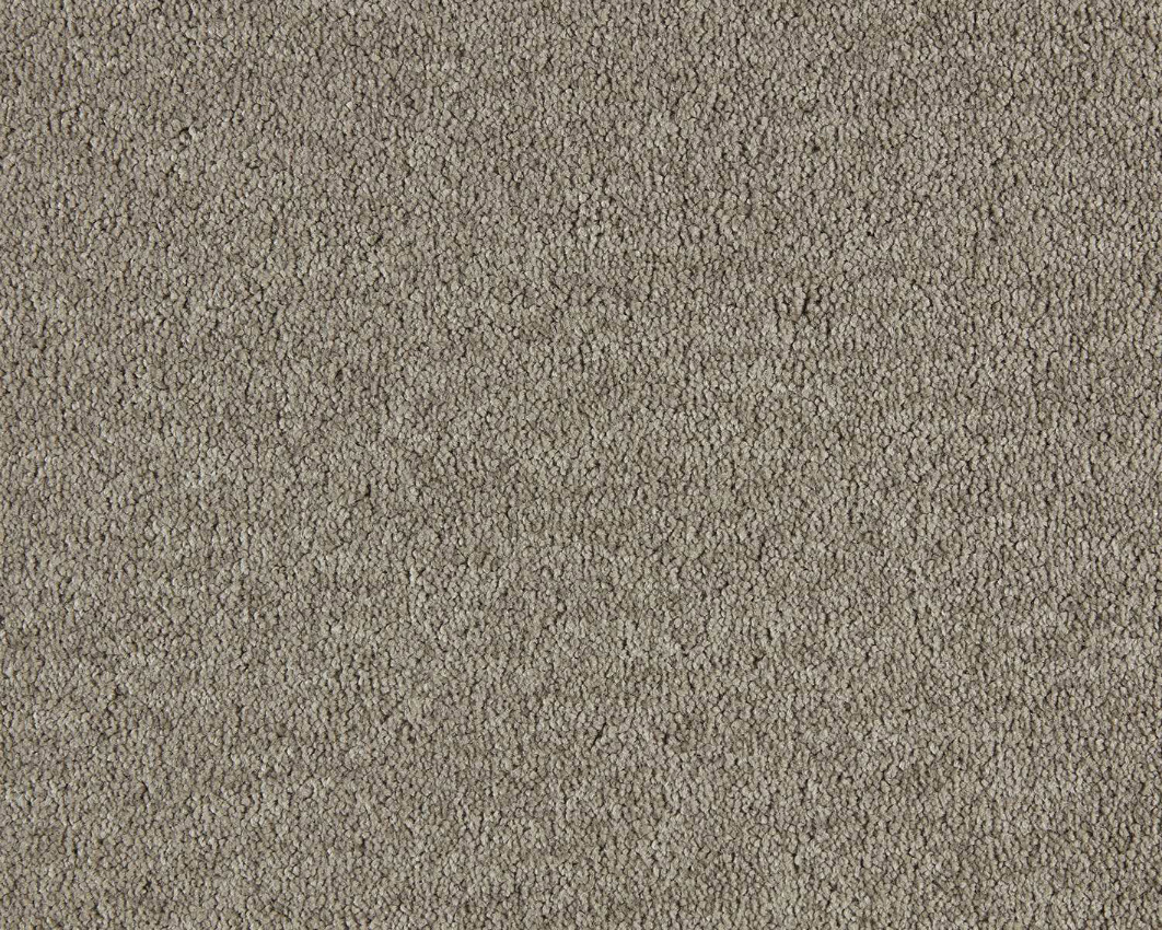 460 - hazelnut