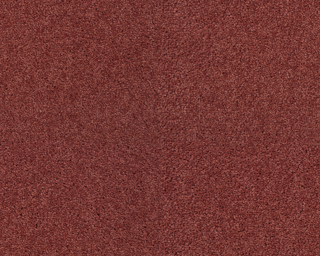 131 - rosa