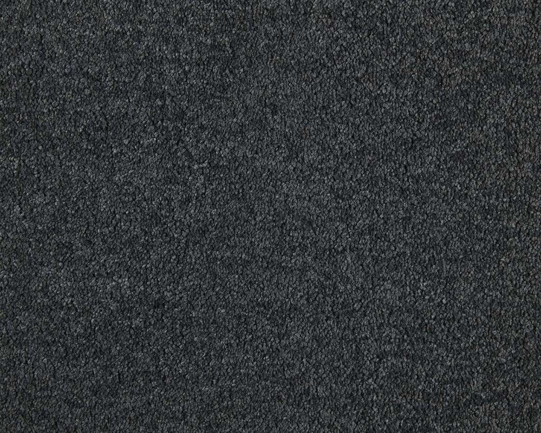 830 - elephant