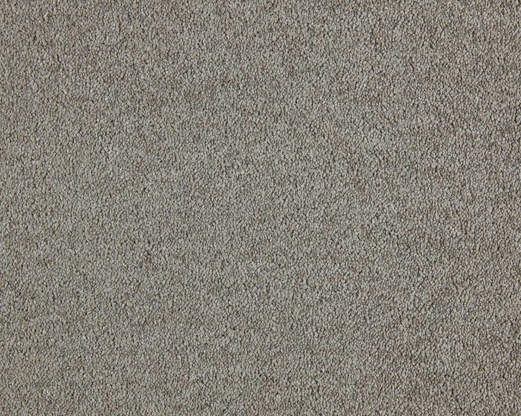 460 - hazelnut