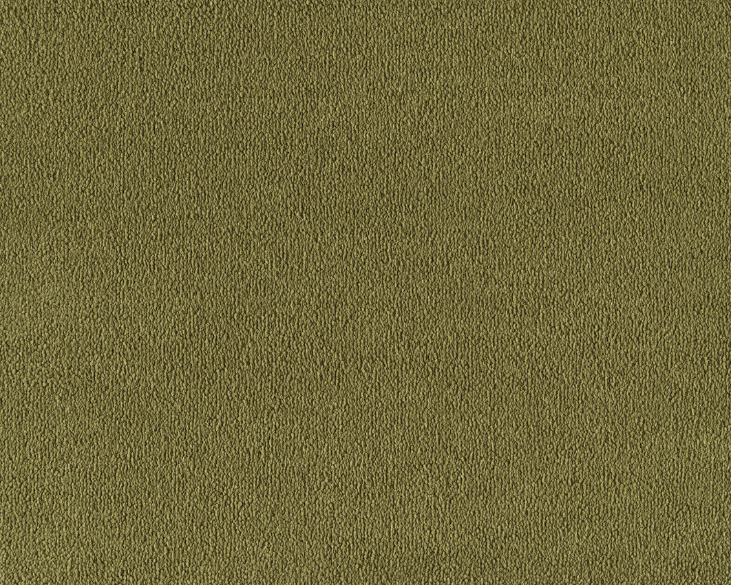 500 - oliv