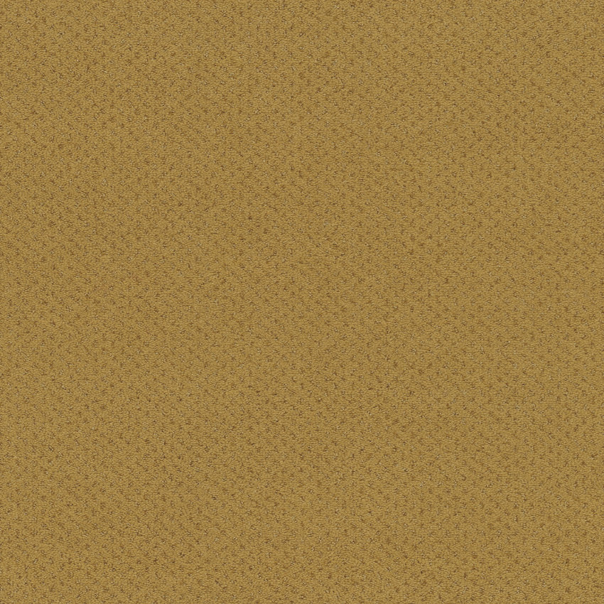 2F51 - curry