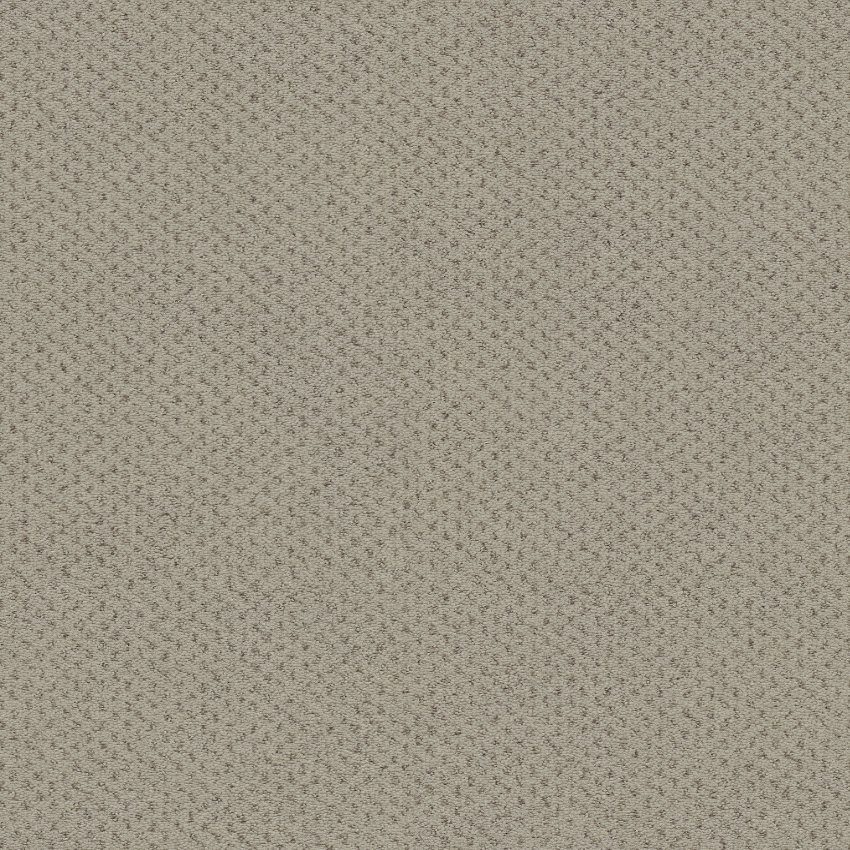 5Y37 - beige
