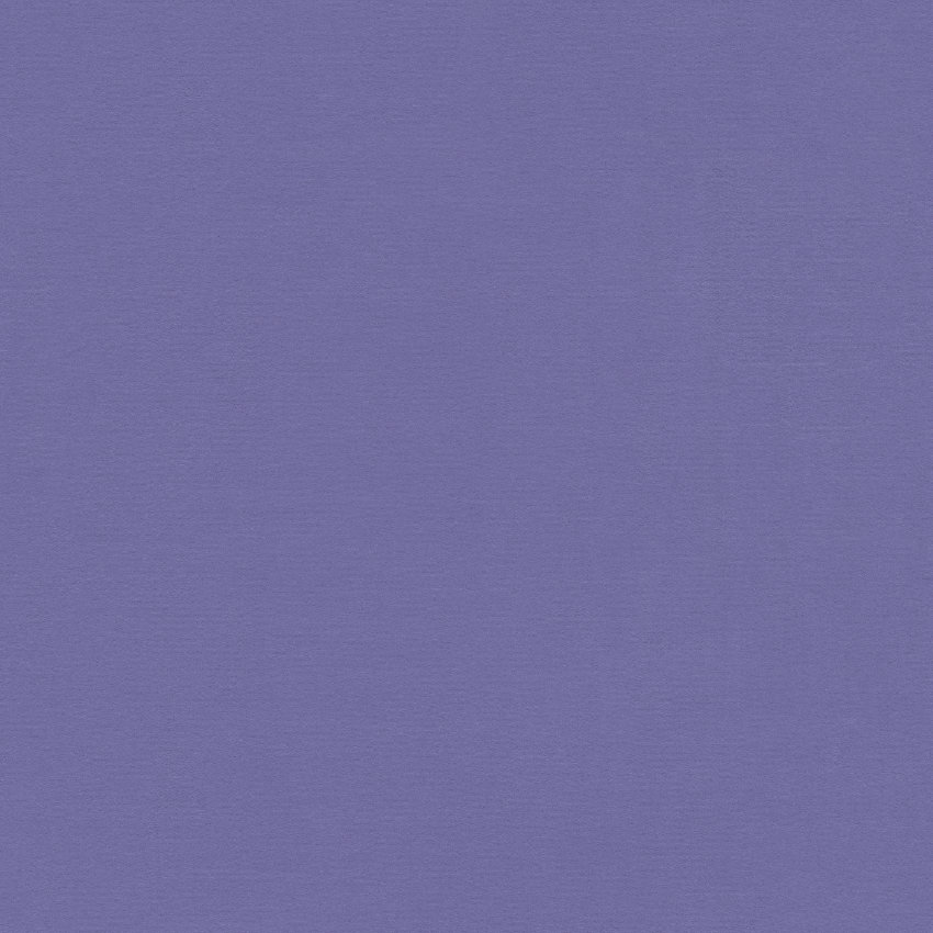 3Q81 - violett