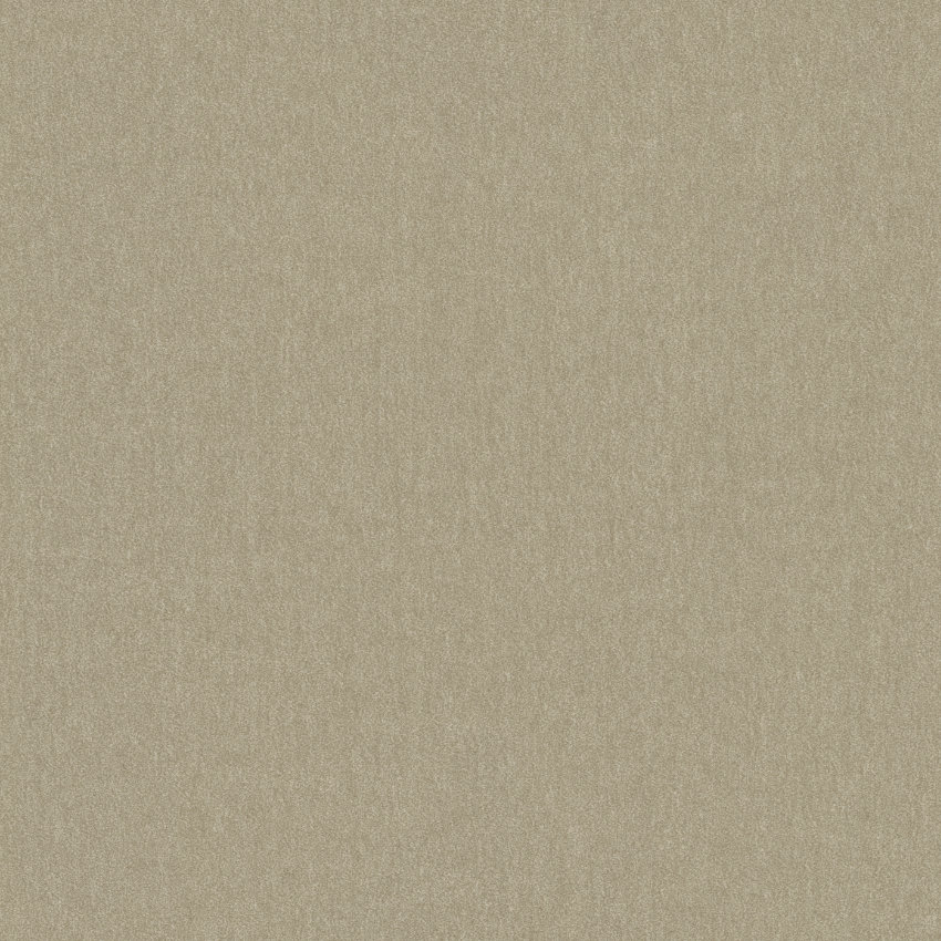 8J91 sand