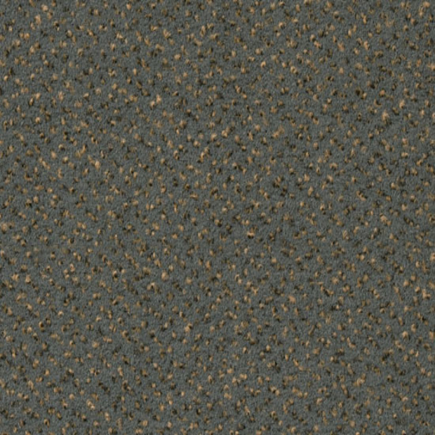 5W36 - dunkelgrau/beige