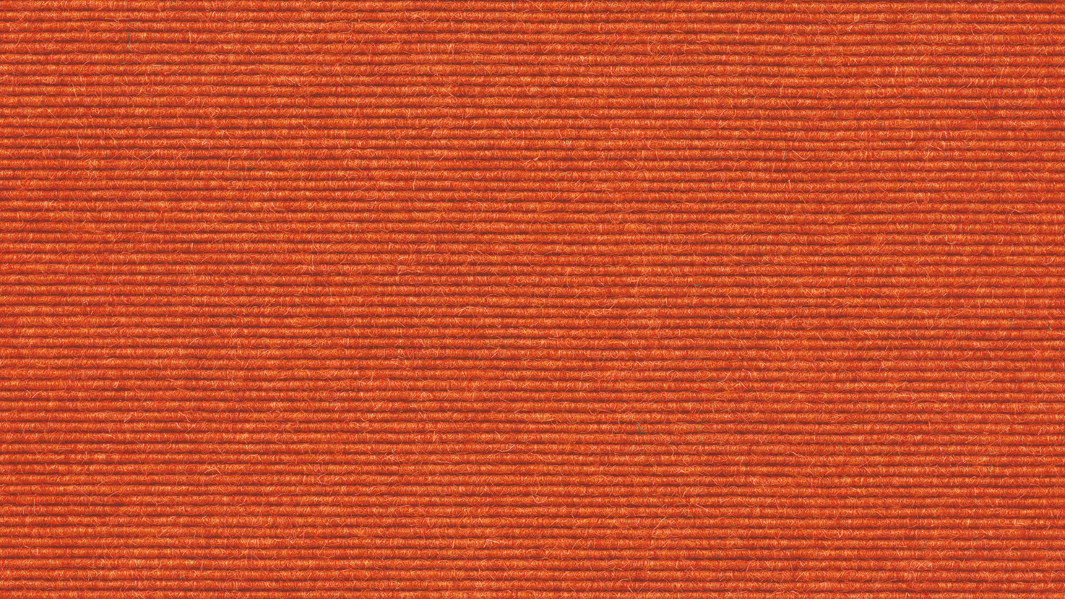 585	- orange