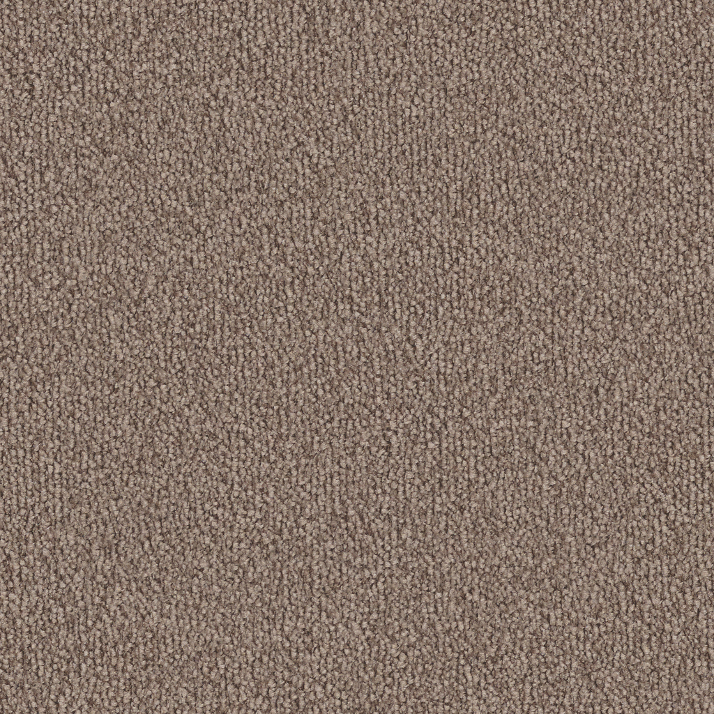 Teppichboden Vorwerk Safira 8H75 Fascination